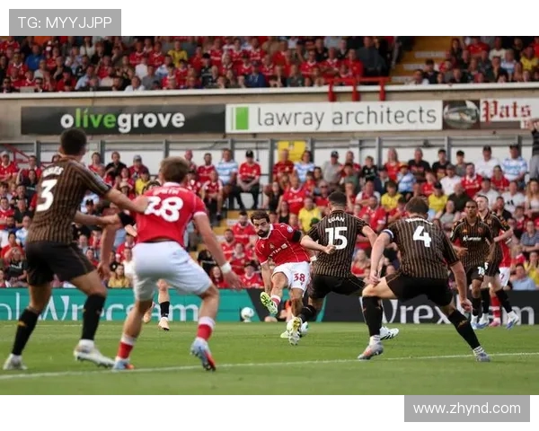 布赖顿与伯明翰的精彩对决揭示英冠联赛的激烈竞争与球队实力较量