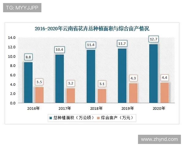 深入探讨V5战队战术表现的数据分析与战略调整