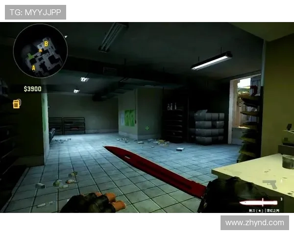 CSGO战术解析：深入剖析JDG战队的防守策略与应对技巧