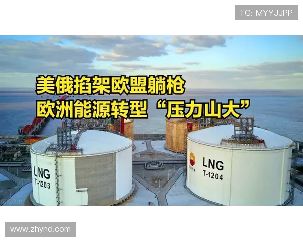 专业解析LNG市场转型策略与未来发展趋势探讨